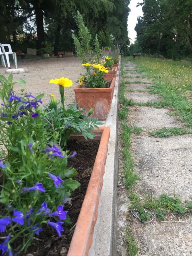 Basisa Bed&Breakfast San Lazzaro di Savena Bagian luar foto