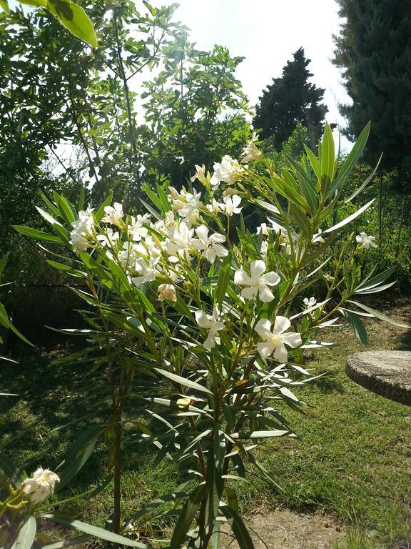 Basisa Bed&Breakfast San Lazzaro di Savena Bagian luar foto