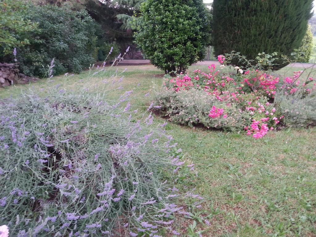 Basisa Bed&Breakfast San Lazzaro di Savena Bagian luar foto
